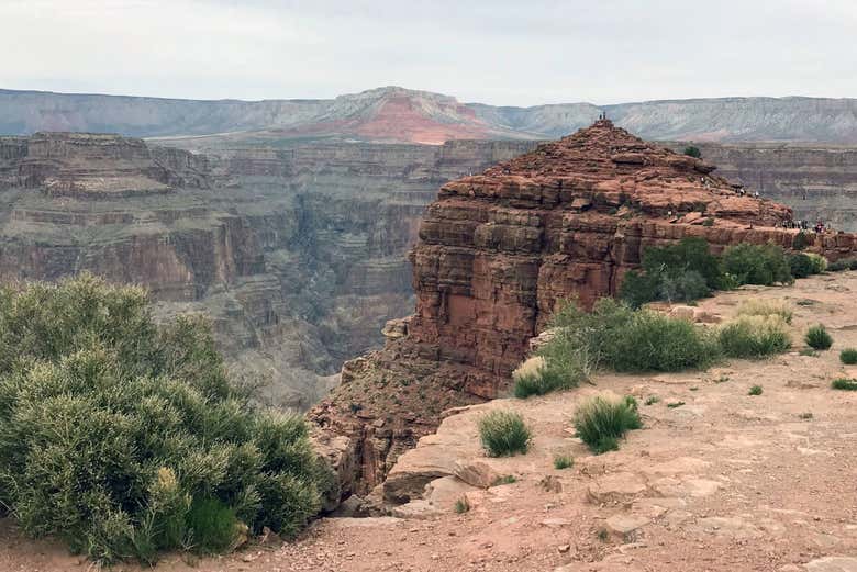 Guano Point