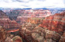 Excursão ao Grand Canyon + Arizona Joshua Tree Forest
