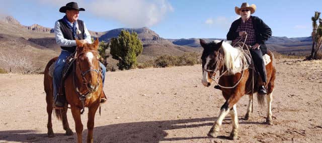 Joshua Tree Horseback Riding Tour