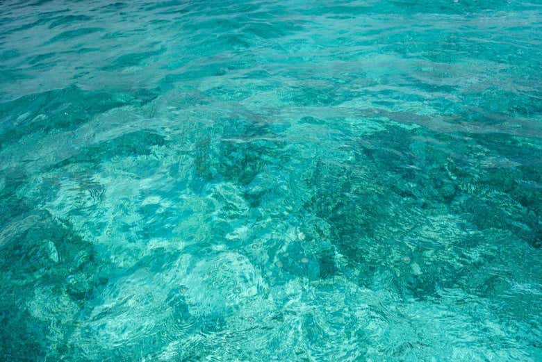 Eaux cristallines des Caraïbes