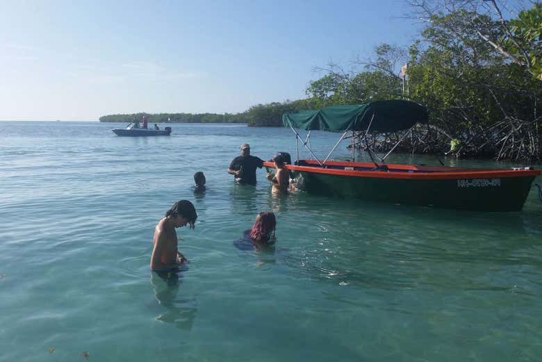 Nadando na baía de La Parguera