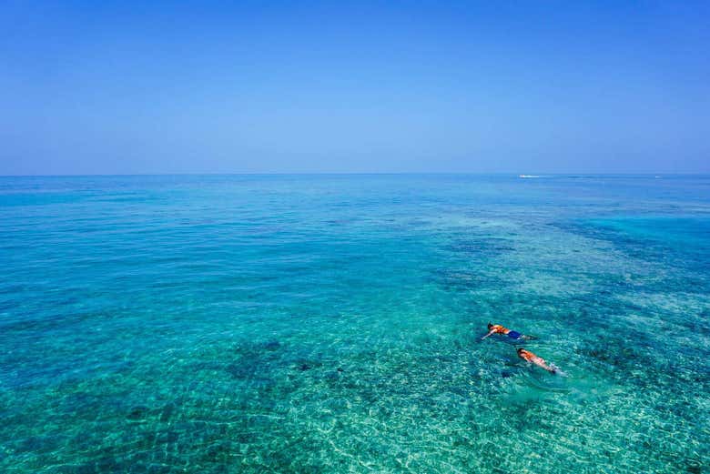 Snorkel en los cayos