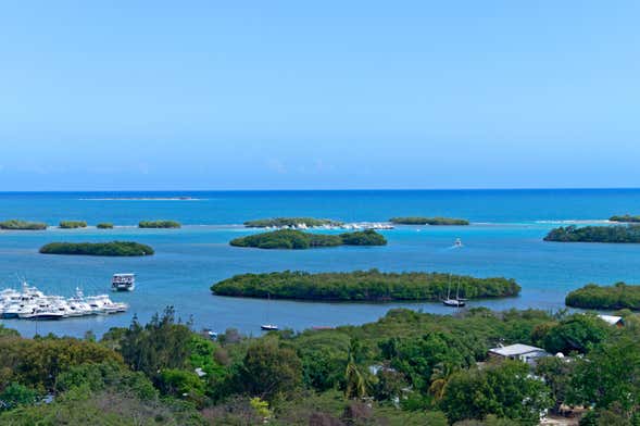 La Parguera Bioluminescent Bay Private Cruise