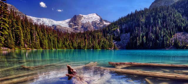 Tour de 4 ou 7 dias de Las Vegas a São Francisco