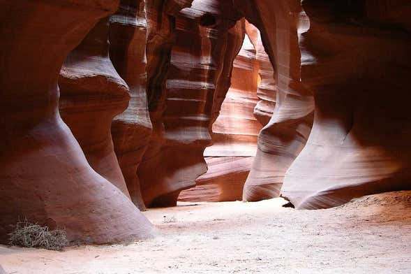Escursione a Horseshoe Bend e Antelope Canyon