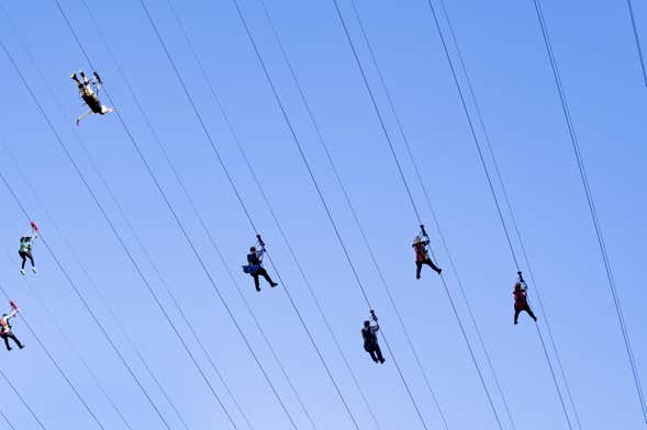 Fly LINQ Ticket