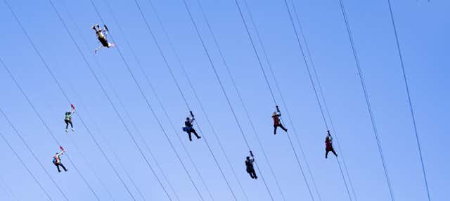 Entrada a Fly LINQ