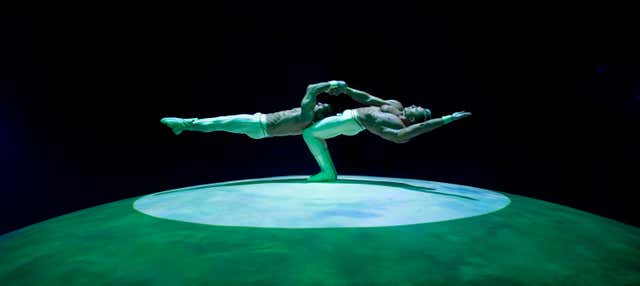 Entradas para Mystère, Circo del Sol