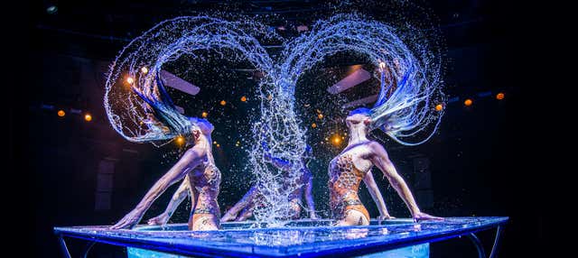 Billet pour WOW - The Vegas Spectacular