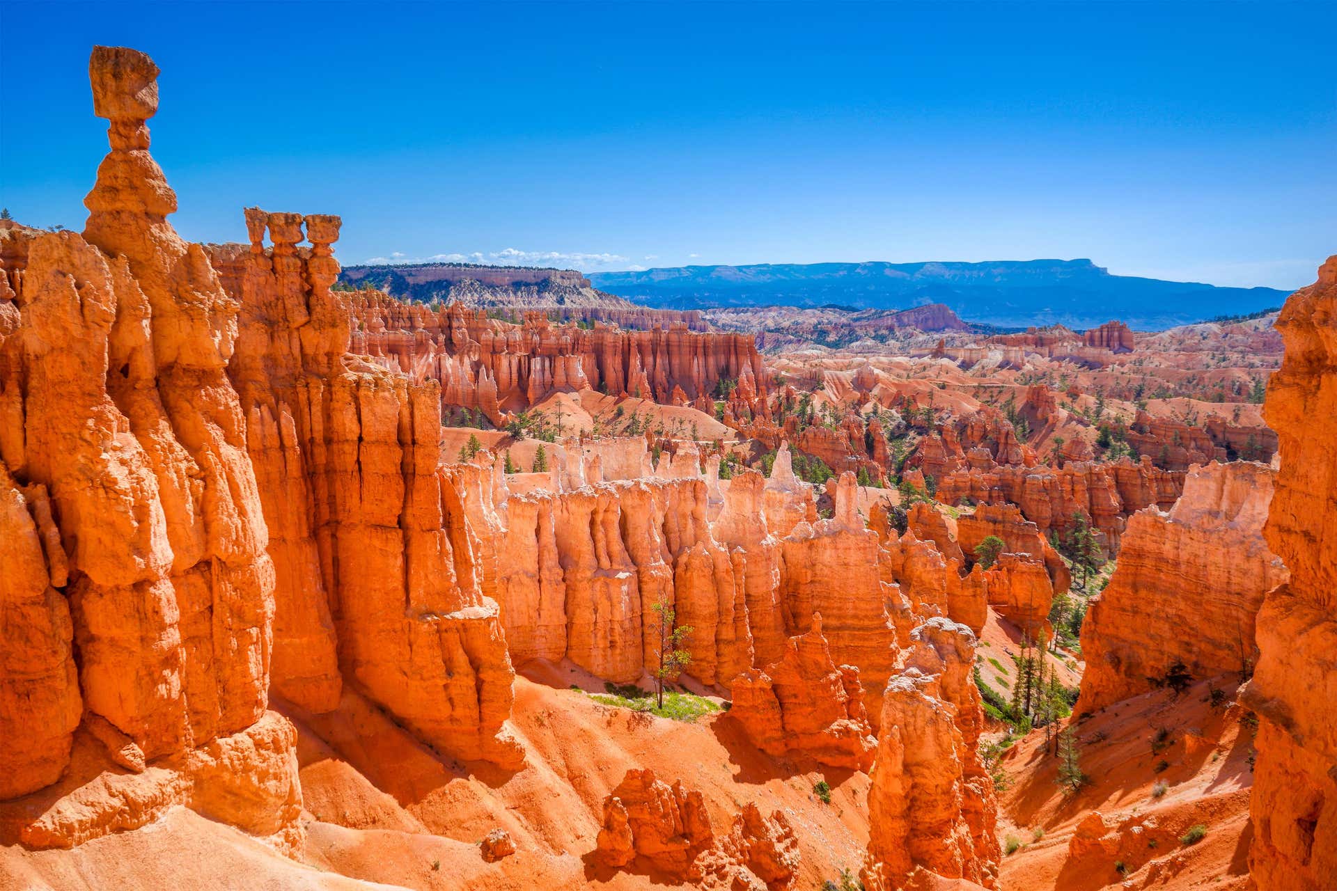 Excursão ao Bryce Canyon
