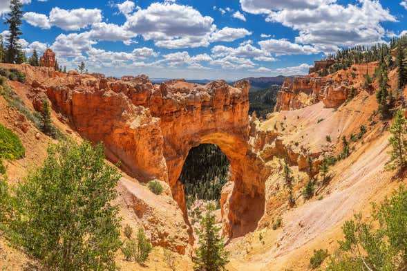 Excursión a los cañones Zion y Bryce