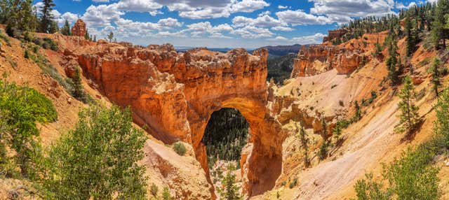 Excursión a los cañones Zion y Bryce