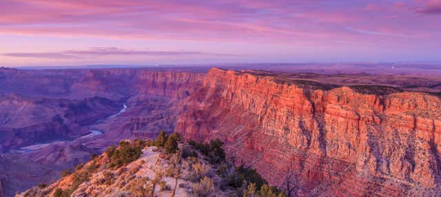 Excursión al Gran Cañón en español
