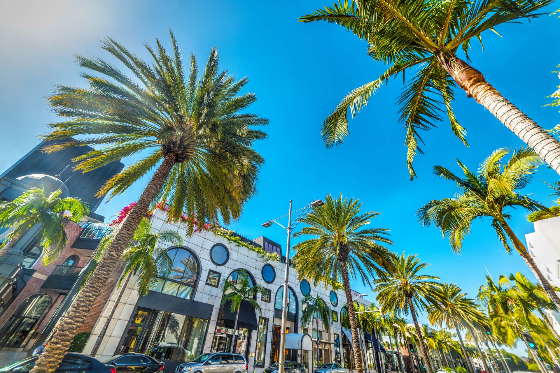 Los Angeles Tour