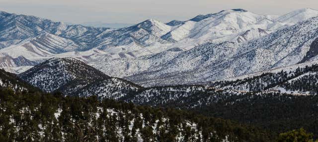Excursão ao Mount Charleston e Lee Canyon