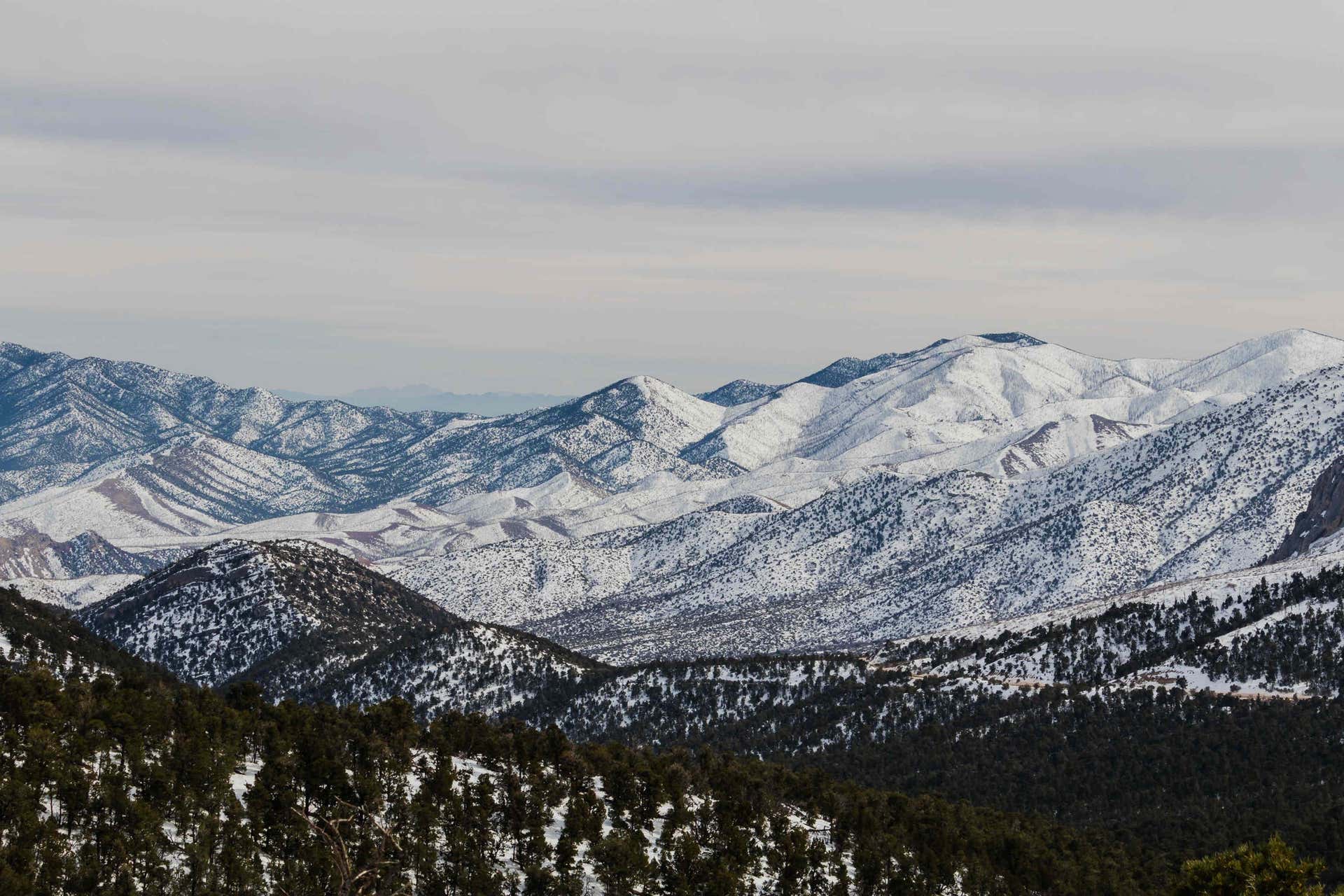 Excursão ao Mount Charleston e Lee Canyon