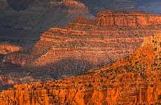 Grand Canyon South Rim Day Trip