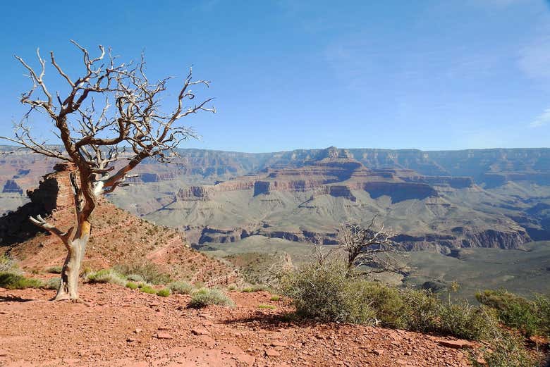 South Rim