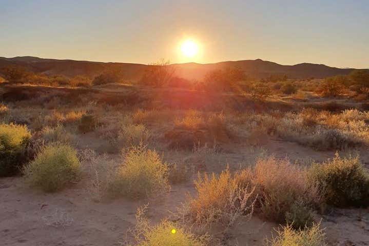 Las Vegas Desert