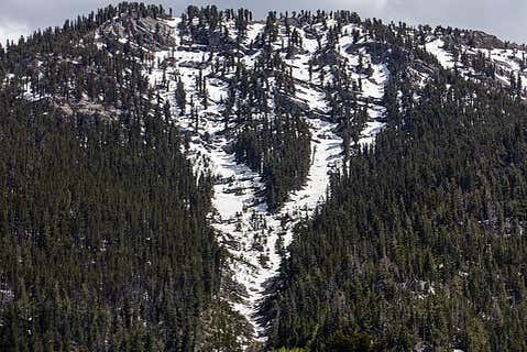 Découvrez les forêts enneigées de la région