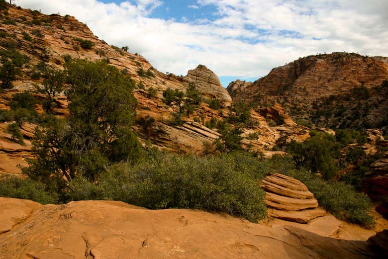 Excursión desde Las Vegas