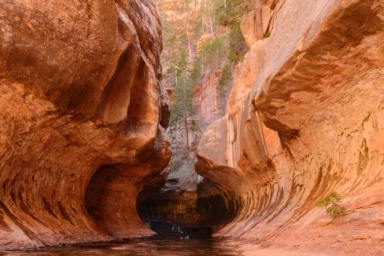 Rock formations in the canyon