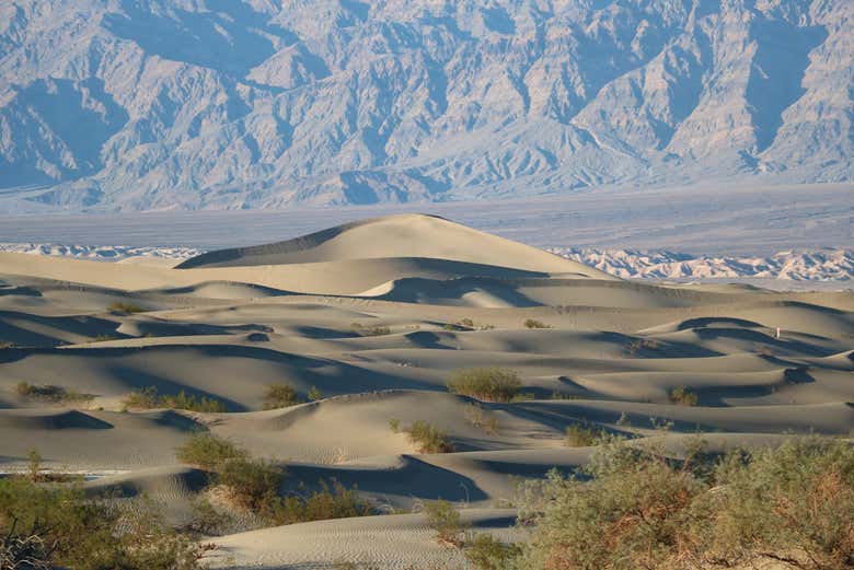 Les célèbres dunes de sable de Mesquite Flat