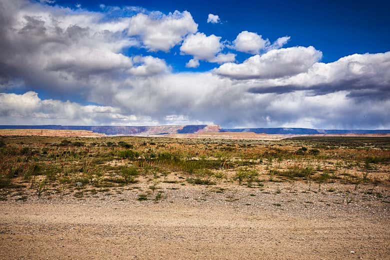 O deserto de Mojave