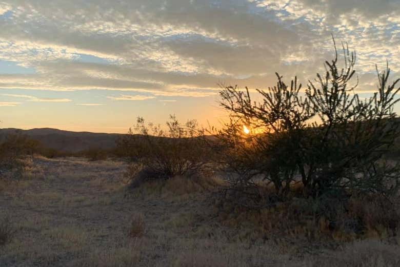 Desert of Las Vegas