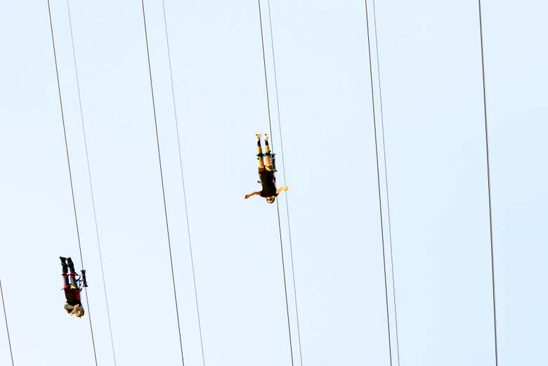 Che ne dite di questa adrenalinica zip line?