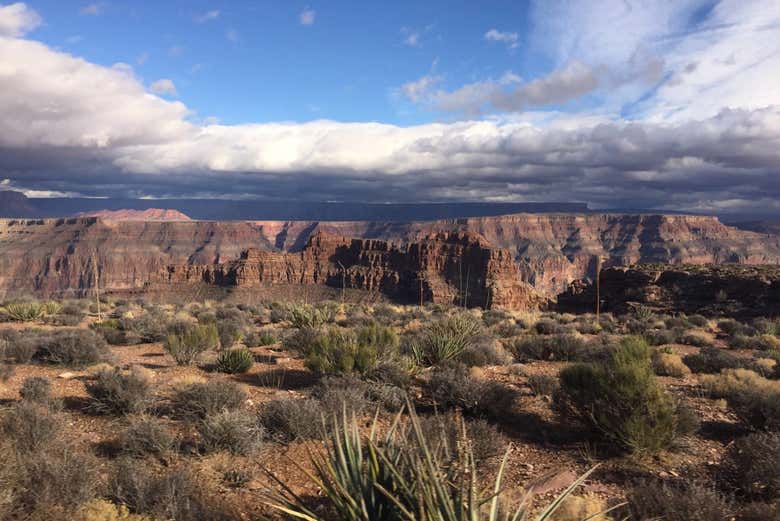 Eagle Point