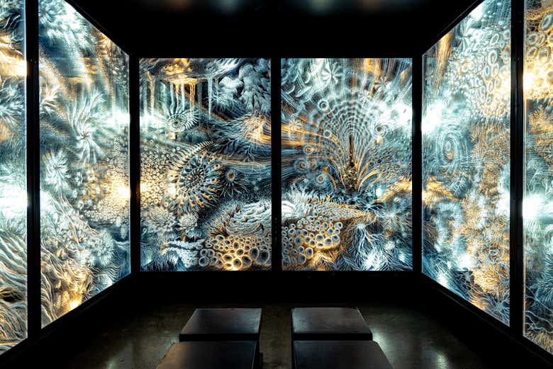 Immersive yourself in contemporary art