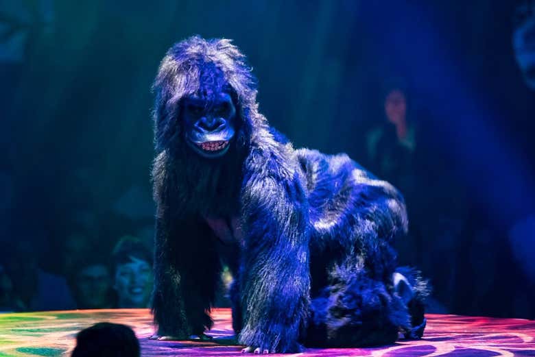 ¡Os lo pasaréis en grande!