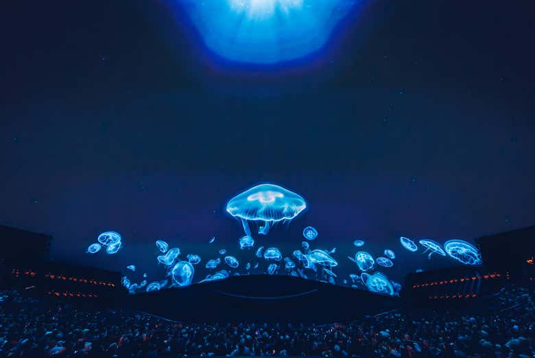 Medusas en la exposición Postcard from Earth