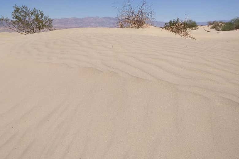 Visit the famous Mesquite Sand Dunes