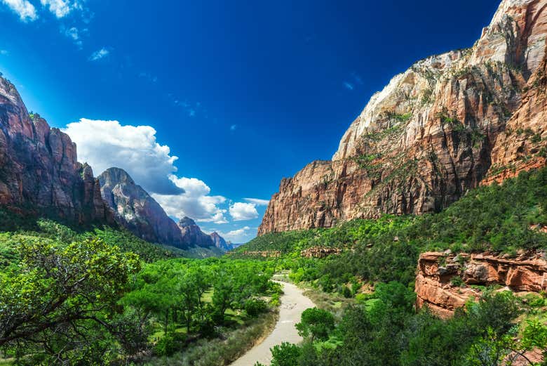 Cañón del Parque Nacional Zion