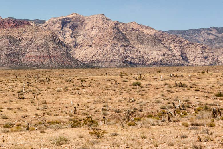 Deserto de Las Vegas