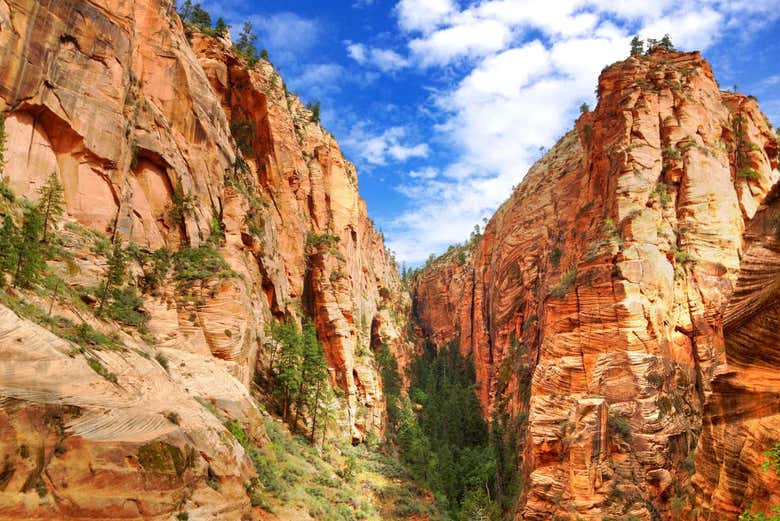 Parque Nacional de Zion en Utah