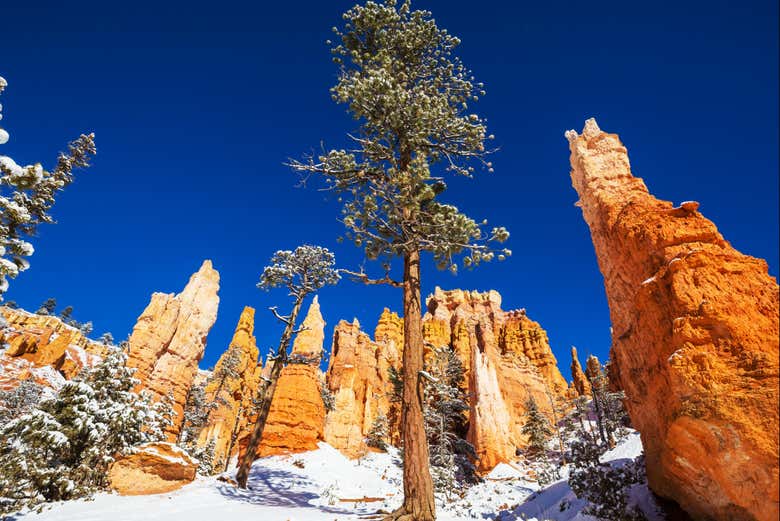 Paisajes del Parque Nacional Bryce