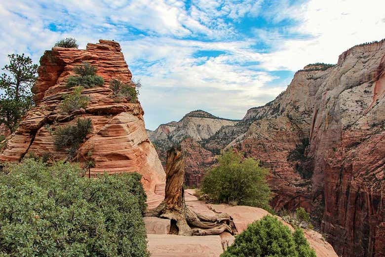 Formaciones geológicas del Parque Nacional Zion