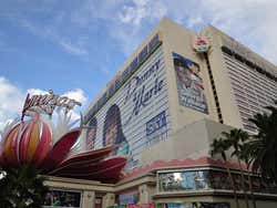 Hotel Flamingo