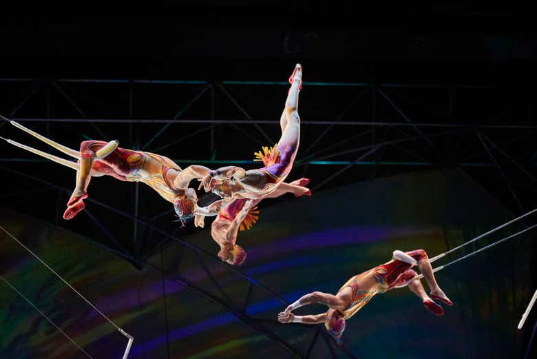 Trapezistas durante o show