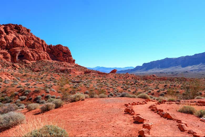 Une excursion inoubliable !