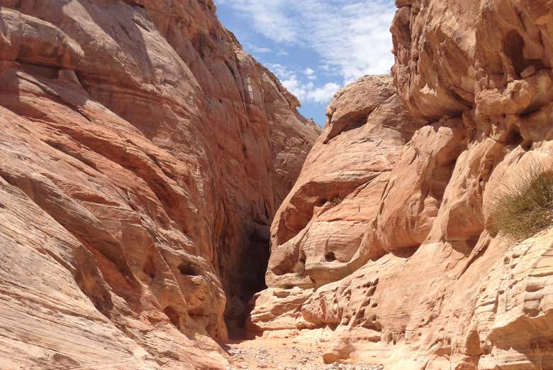 Canyon de la Valley of fire