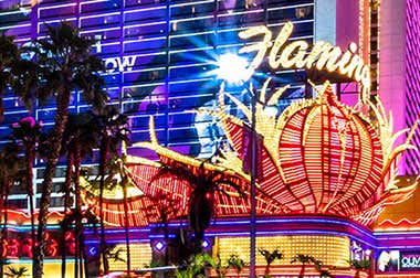 Hotel Flamingo