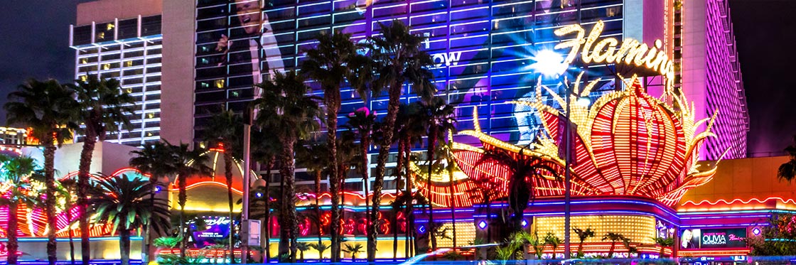 Hotel Flamingo - The hotel in Las Vegas