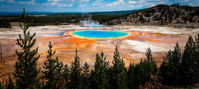 Tour de 7 dias por Yellowstone, as Rochosas, Bryce Canyon e Grand Teton
