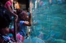 guided tour los angeles Aquarium of The Pacific Ticket