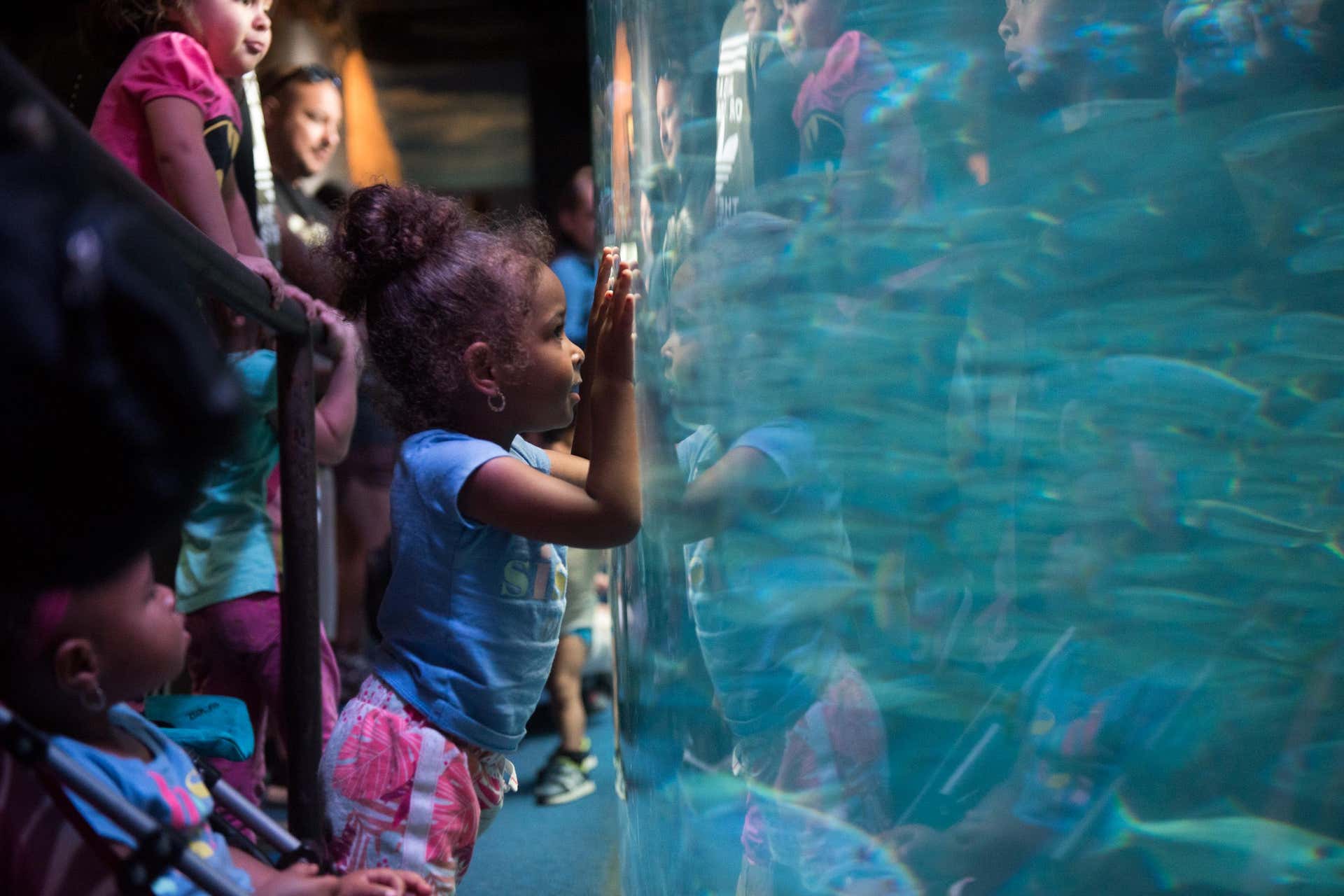 Aquarium of The Pacific Entrance Ticket, Los Angeles
