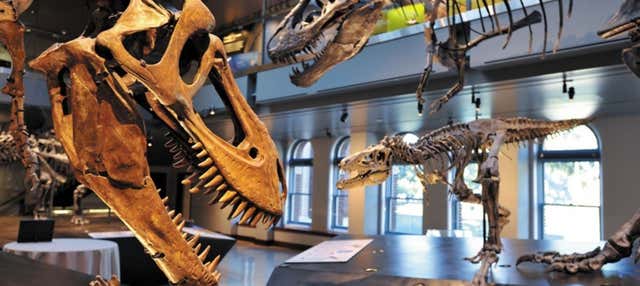 Los Angeles Natural History Museum Tickets